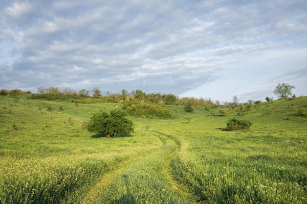Voyage d'un mois au vietnam tout compris : découvrez l'inattendu !