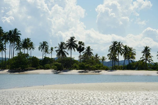 Musée du vin à châteauneuf du pape : une immersion gourmande