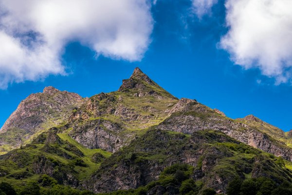 Les secrets des offres exclusives de compagnies aériennes