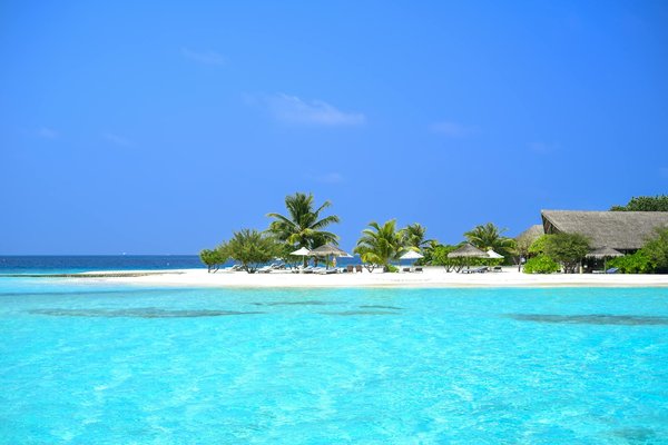 Découvertes gastronomiques en famille : Les nouvelles tendances du tourisme culinaire